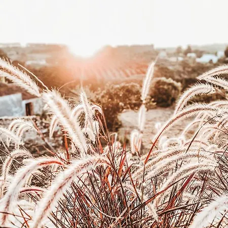 Casa-simplicity Gelder Zetten Lda Alojamento de Acomodação e Pequeno-almoço Gracieira
