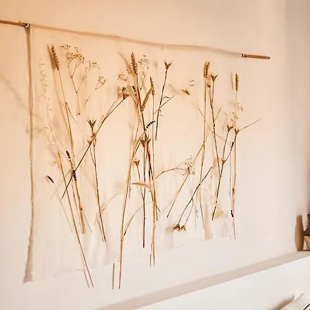 Casa-simplicity Gelder Zetten Lda Alojamento de Acomodação e Pequeno-almoço 3*