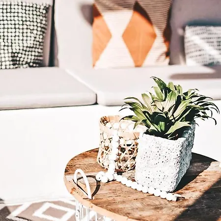 Alojamento de Acomodação e Pequeno-almoço Casa-simplicity Gelder Zetten Lda Gracieira