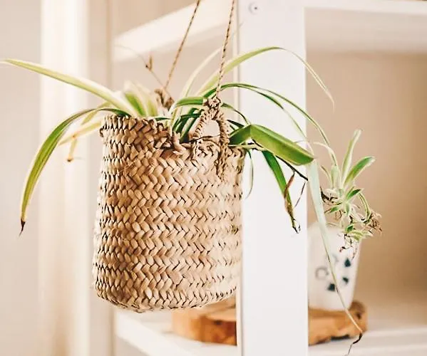 Bed & Breakfast Casa-simplicity Gelder Zetten Lda 3*