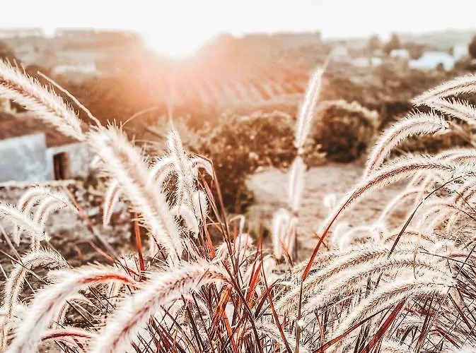 Casa-simplicity Gelder Zetten Lda Panzió Gracieira