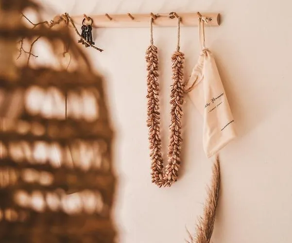 Bed & Breakfast Casa-simplicity Gelder Zetten Lda Gracieira