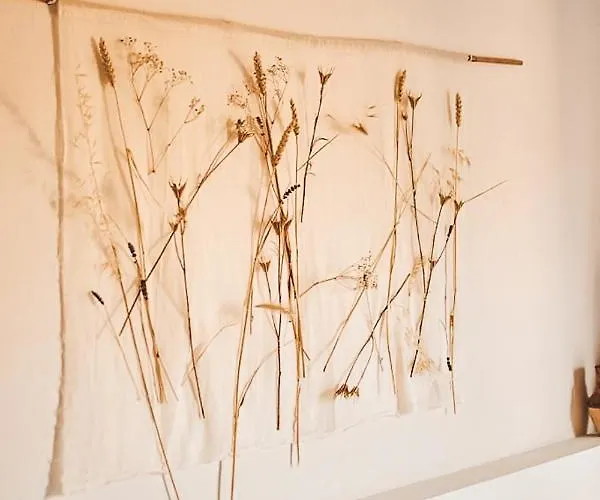 Casa-simplicity Gelder Zetten Lda Panzió 3*