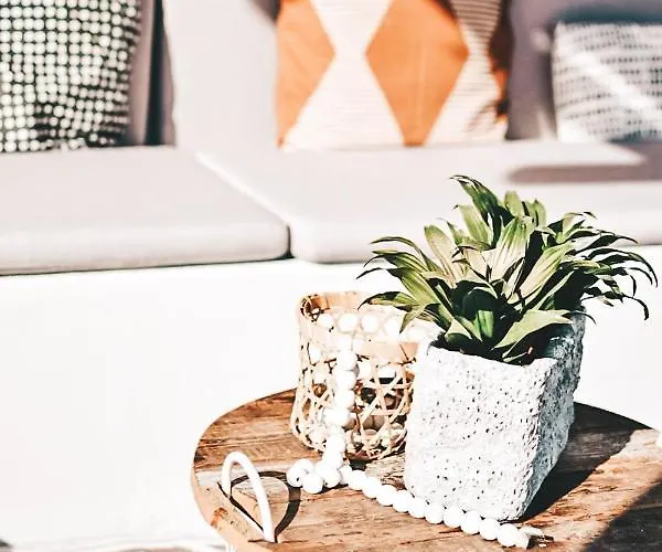 Bed & Breakfast Casa-simplicity Gelder Zetten Lda Gracieira